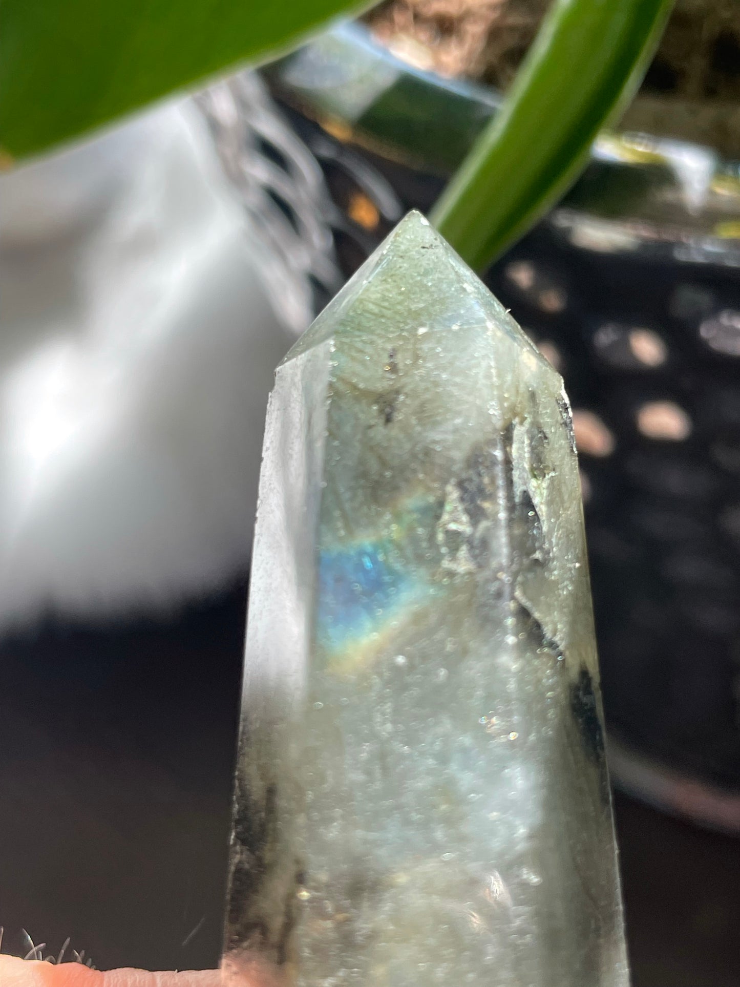 Crystal Crowned Labradorite Pendant