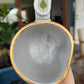 Labradorite Moon Mug & Natural Fern  #2